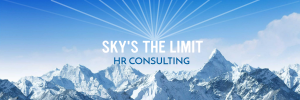 skys the limit consulting